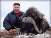 Mamemo Outfitting & Consulting - Devin Aherne Adventures - Musk Ox