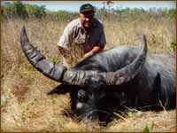 Mamemo Outfitting & Consulting - Hunt Australia - Buffalo