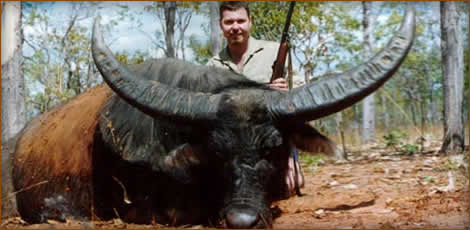 Mamemo Outfitting & Consulting - Hunt Australia - Buffalo