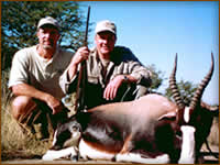Mamemo Outfitting & Consulting - Frontier Safaris - Bontebok