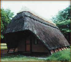 Mamemo Outfitting & Consulting - HHK Safaris - Camp