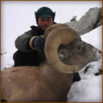 Mamemo Outfitting & Consulting - Saddle Mountain Outfitters - Big Horn Sheep